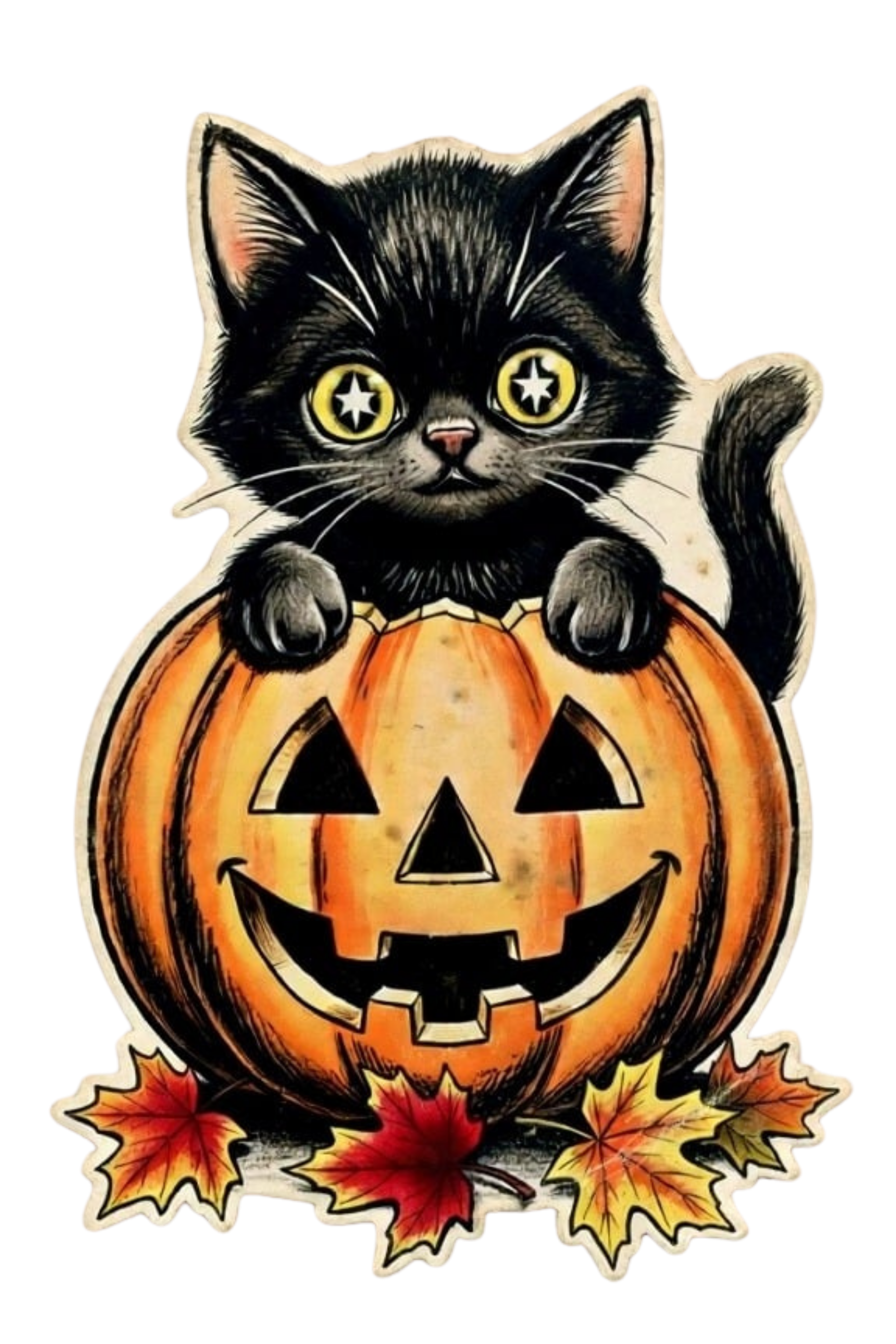 Black Kitten with Pumpkin